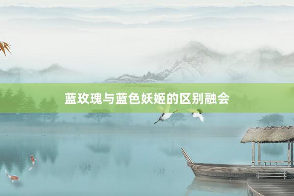 蓝玫瑰与蓝色妖姬的区别融会